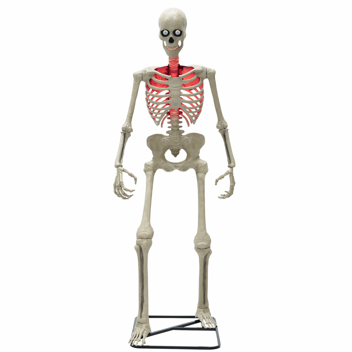 skeleton with eyes.gif