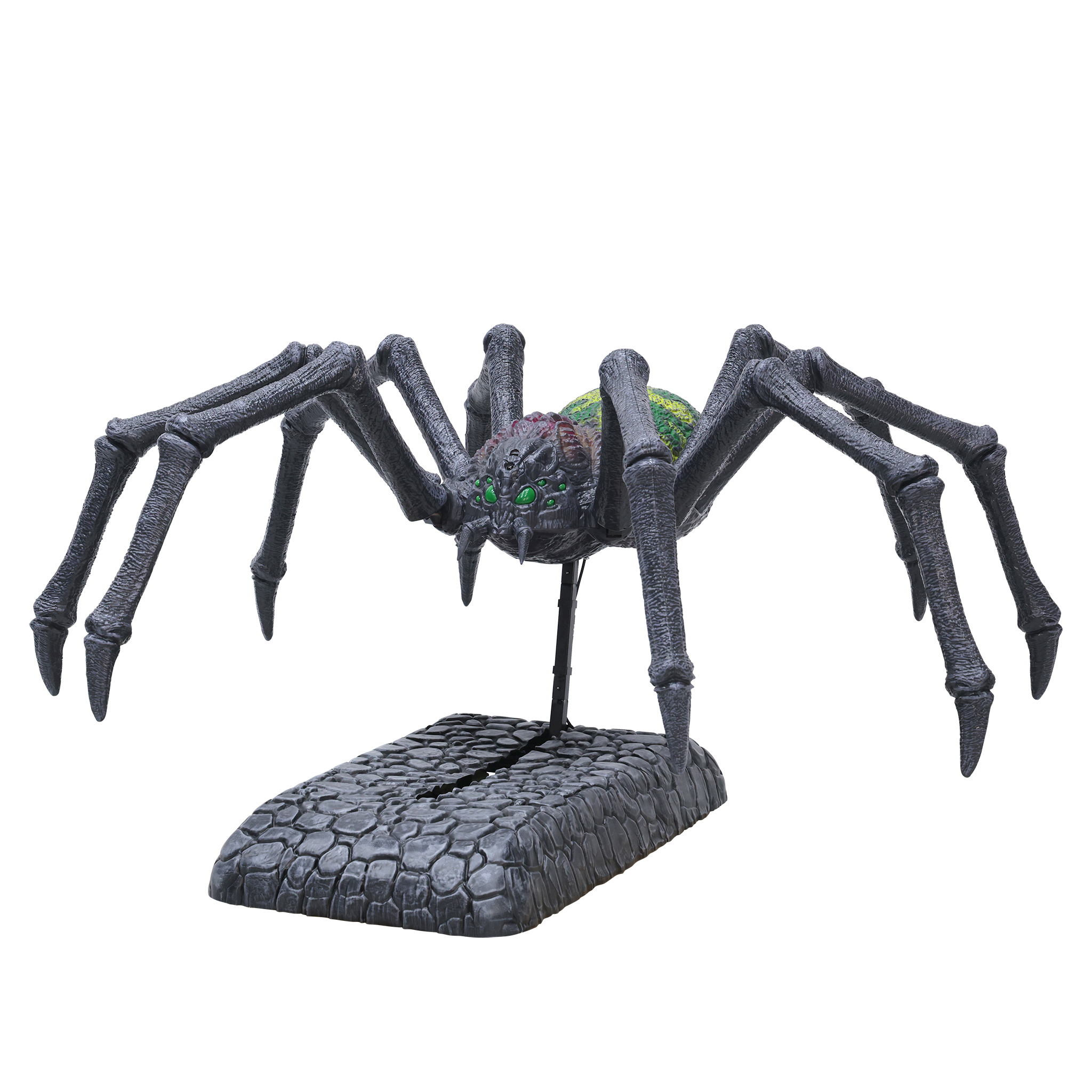 spider.jpg