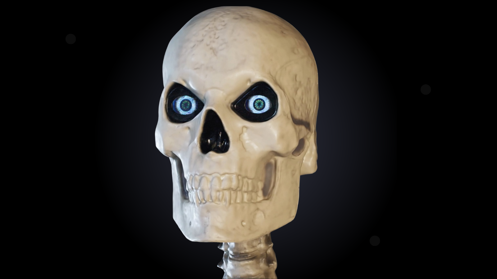 Skelly and Friends animatronic products