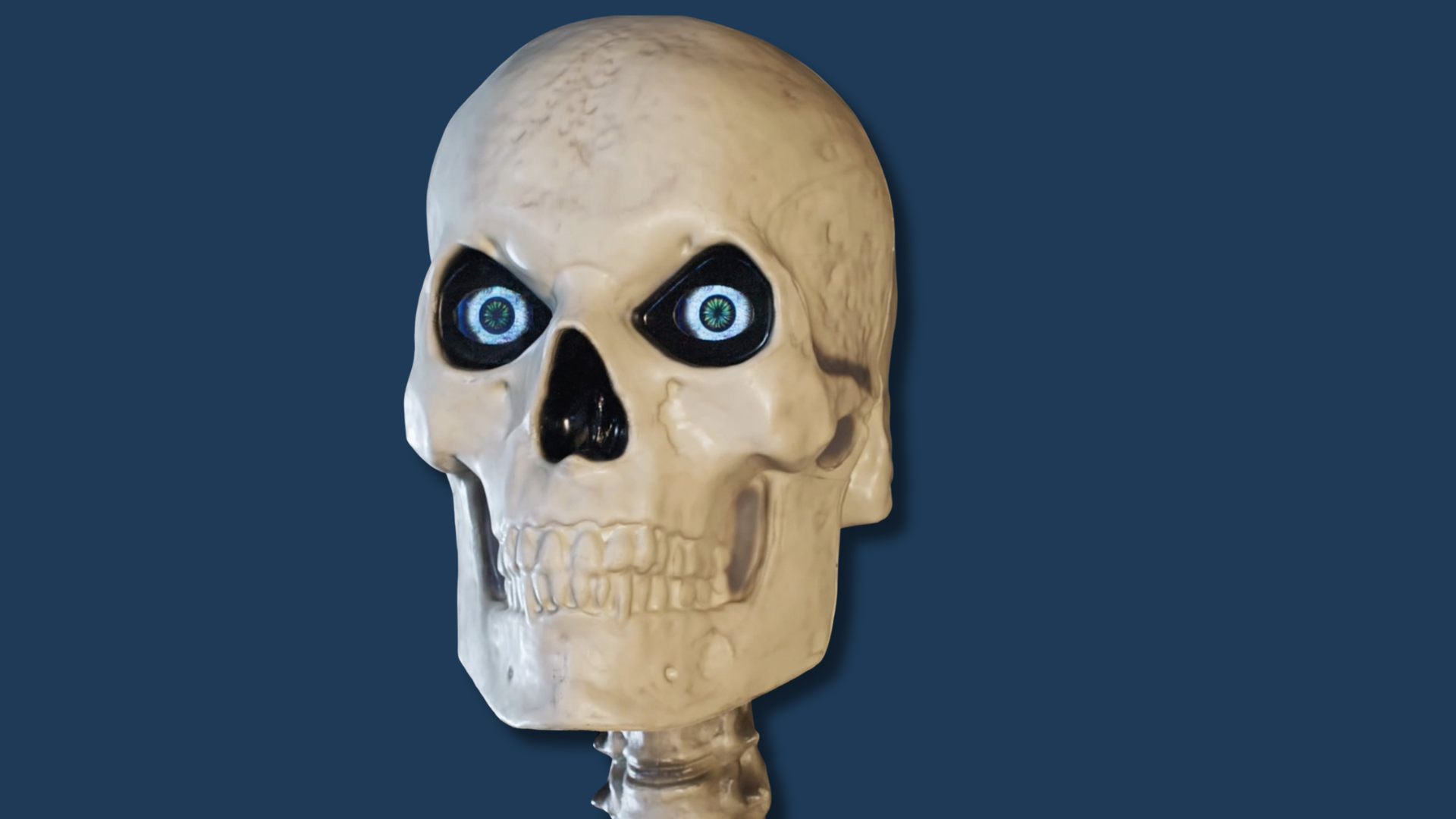 Skelly and Friends animatronic products