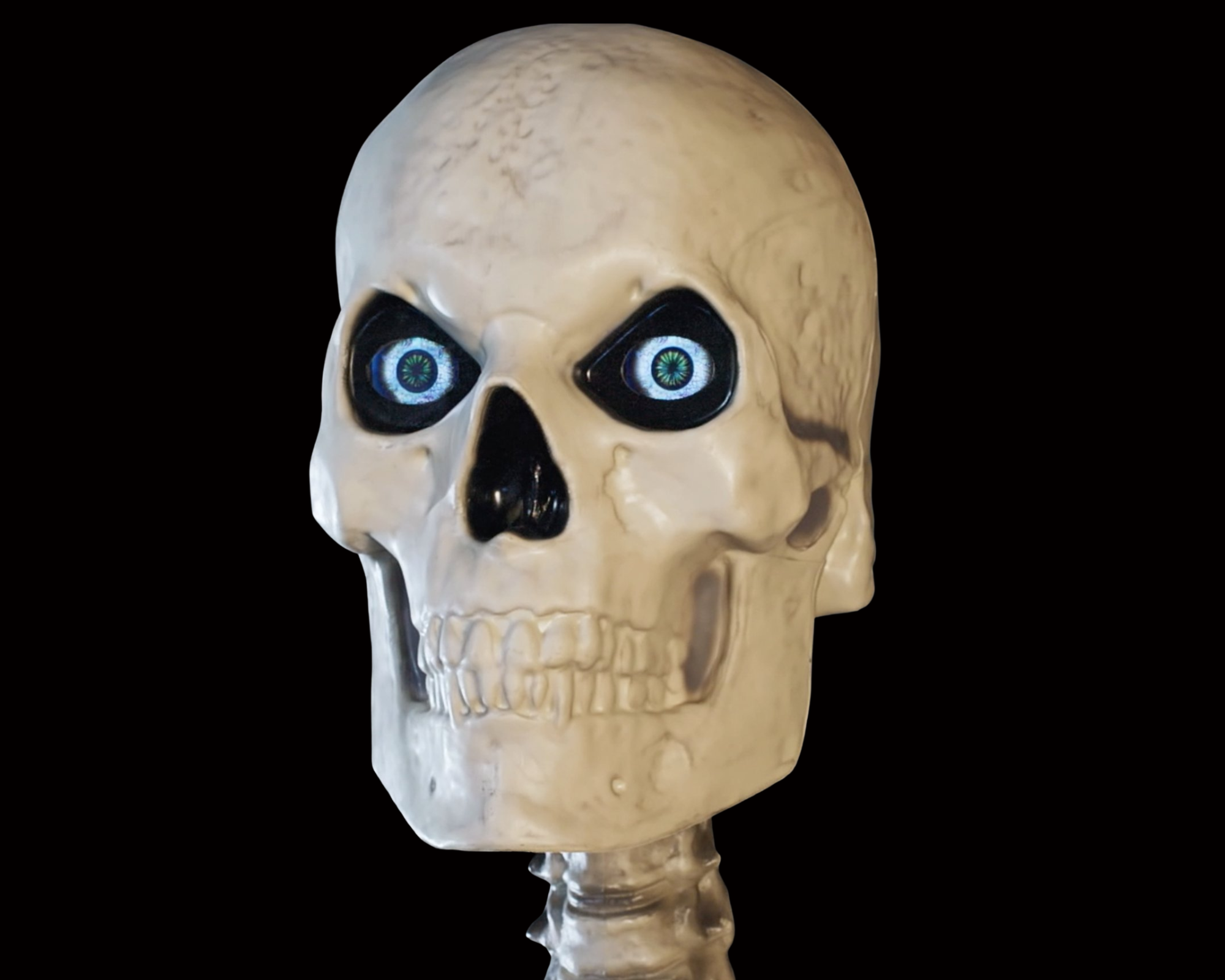 Skelly and Friends